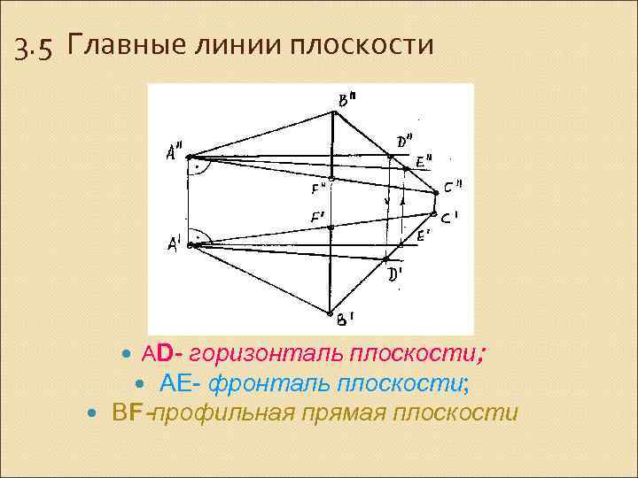 3. 5 Главные линии плоскости АD- горизонталь плоскости; АЕ- фронталь плоскости; ВF-профильная прямая плоскости