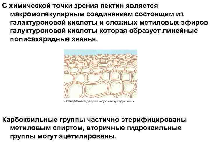 С химической точки зрения пектин является макромолекулярным соединением состоящим из галактуроновой кислоты и сложных