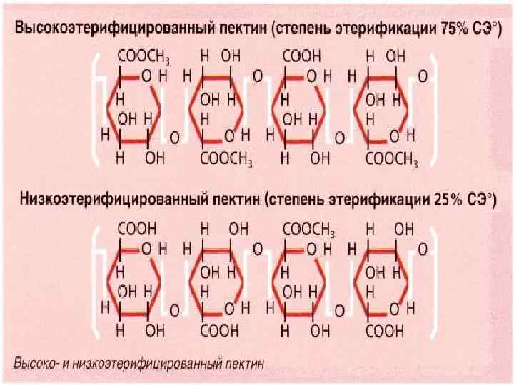 Бизнес план пектин