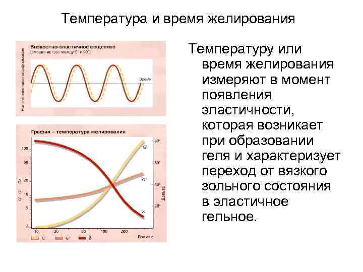 Температура и время желирования Температуру или время желирования измеряют в момент появления эластичности, которая