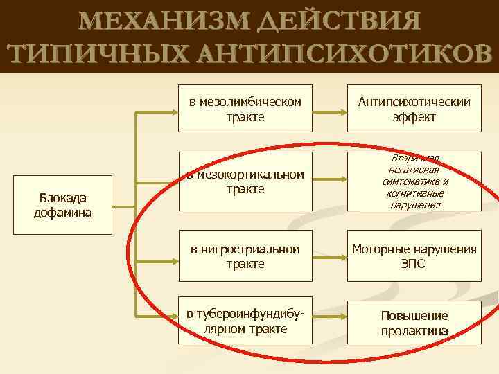 МЕХАНИЗМ ДЕЙСТВИЯ ТИПИЧНЫХ АНТИПСИХОТИКОВ в мезолимбическом тракте Блокада дофамина Антипсихотический эффект в мезокортикальном тракте