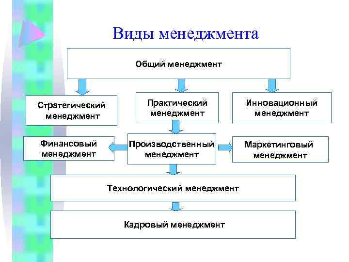 Виды проектов в менеджменте