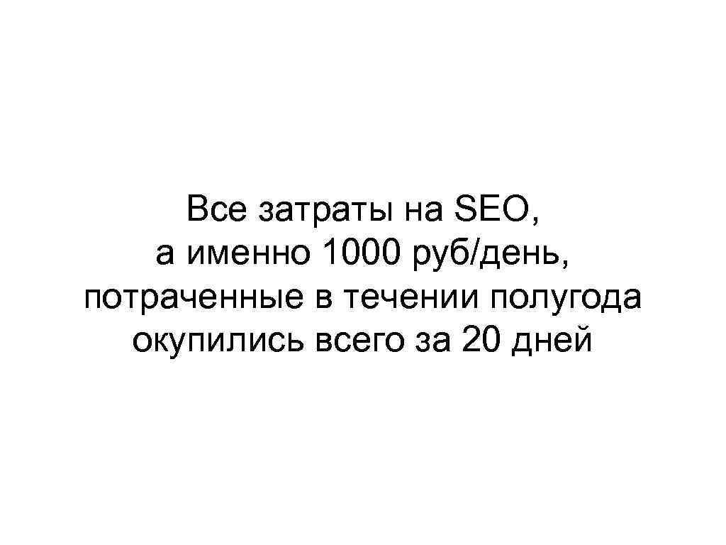Все затраты на SEO, а именно 1000 руб/день, потраченные в течении полугода окупились всего