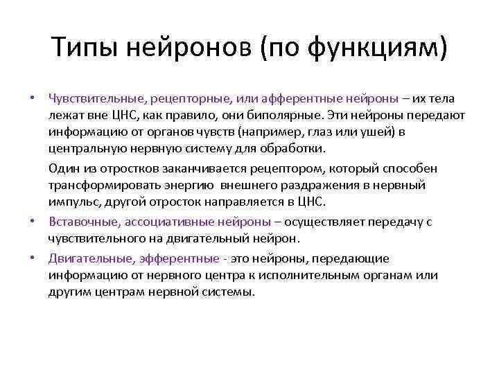 Типы нейронов (по функциям) • Чувствительные, рецепторные, или афферентные нейроны – их тела лежат