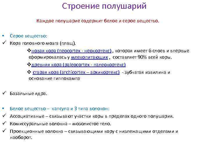 Строение полушарий Каждое полушарие содержит белое и серое вещество. • Серое вещество: ü Кора