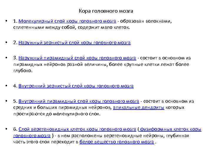 Кора головного мозга • 1. Молекулярный слой коры головного мозга - образован волокнами, сплетенными