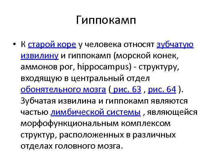 Гиппокамп • К старой коре у человека относят зубчатую извилину и гиппокамп (морской конек,
