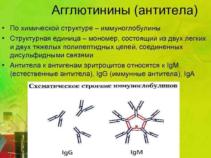 Агглютинины (антитела) • По химической структуре – иммуноглобулины • Структурная единица – мономер, состоящий