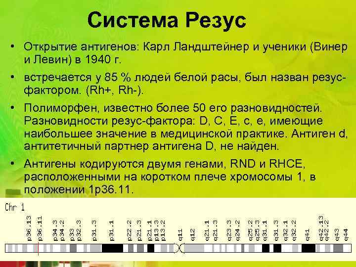 Система Резус • Открытие антигенов: Карл Ландштейнер и ученики (Винер и Левин) в 1940