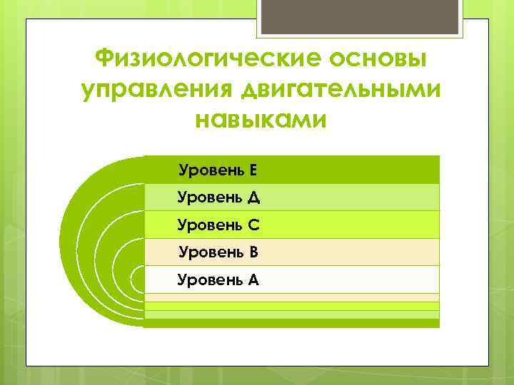 Физиологические основы развития способностей. Физиологические основы.