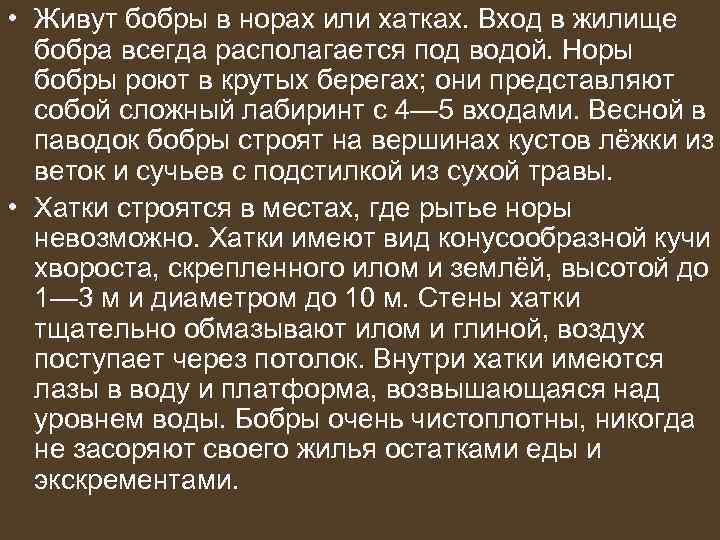  • Живут бобры в норах или хатках. Вход в жилище  бобра всегда