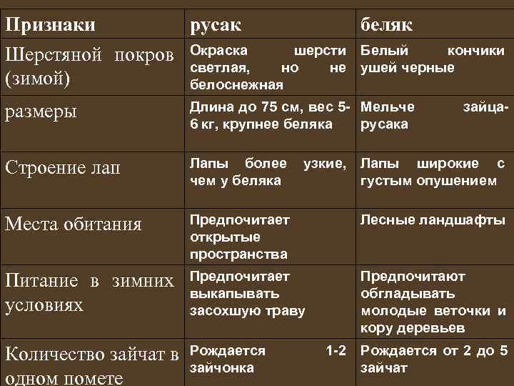 Покров признаки. Заяц Русак морфологический критерий. Физиологический критерий зайца беляка. Экологический критерий вида заяц Русак. Экологический критерий вида заяц Беляк и заяц Русак.