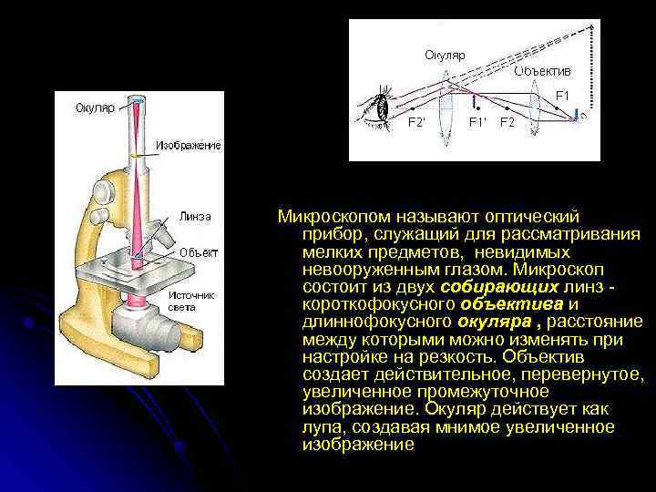 Микроскопом называют оптический  прибор, служащий для рассматривания  мелких предметов,  невидимых 