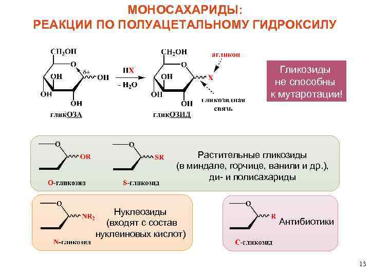 МОНОСАХАРИДЫ: РЕАКЦИИ ПО ПОЛУАЦЕТАЛЬНОМУ ГИДРОКСИЛУ Гликозиды не способны к мутаротации! Растительные гликозиды (в миндале,