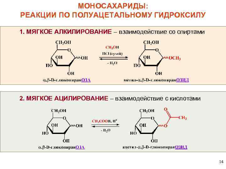 МОНОСАХАРИДЫ: РЕАКЦИИ ПО ПОЛУАЦЕТАЛЬНОМУ ГИДРОКСИЛУ 1. МЯГКОЕ АЛКИЛИРОВАНИЕ – взаимодействие со спиртами 2. МЯГКОЕ