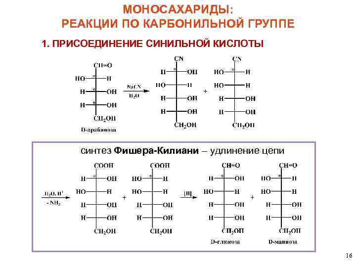 МОНОСАХАРИДЫ: РЕАКЦИИ ПО КАРБОНИЛЬНОЙ ГРУППЕ 1. ПРИСОЕДИНЕНИЕ СИНИЛЬНОЙ КИСЛОТЫ синтез Фишера-Килиани – удлинение цепи