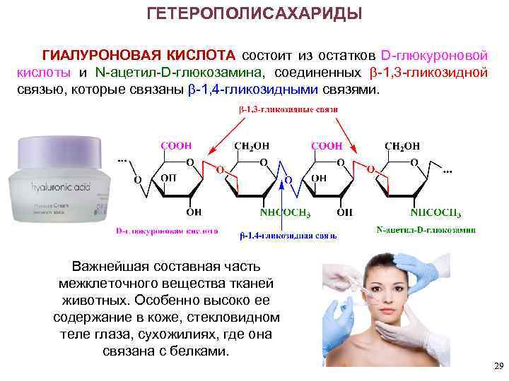 ГЕТЕРОПОЛИСАХАРИДЫ ГИАЛУРОНОВАЯ КИСЛОТА состоит из остатков D-глюкуроновой КИСЛОТА кислоты и N-ацетил-D-глюкозамина, соединенных -1, 3