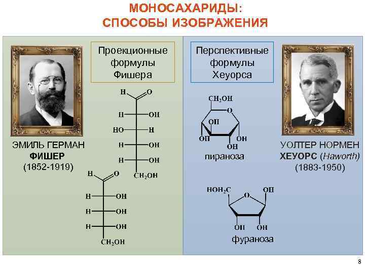 Эмиль герман фишер презентация