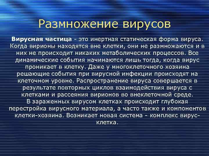   Размножение вирусов Вирусная частица - это инертная статическая форма вируса. Когда вирионы