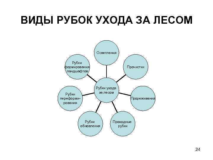 ВИДЫ РУБОК УХОДА ЗА ЛЕСОМ      Осветления   Рубки