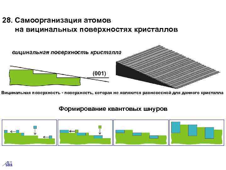 28. Самоорганизация атомов  на вицинальных поверхностях кристаллов  вицинальная поверхность кристалла Вицинальная поверхность