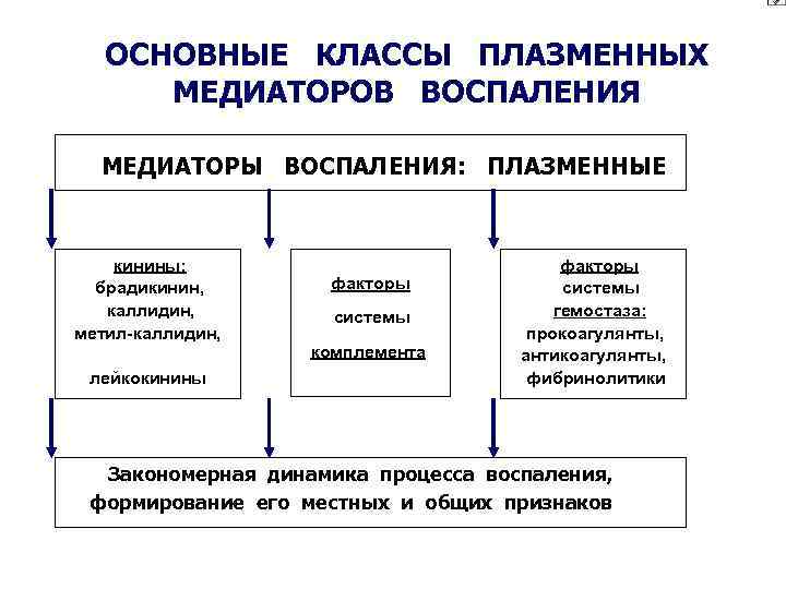 Медиаторы воспаления. Схема плазменных медиаторов воспаления. Медиаторы воспаления плазменного происхождения. Медиаторы воспаления схема. Плазменные медиаторы воспаления патофизиология.