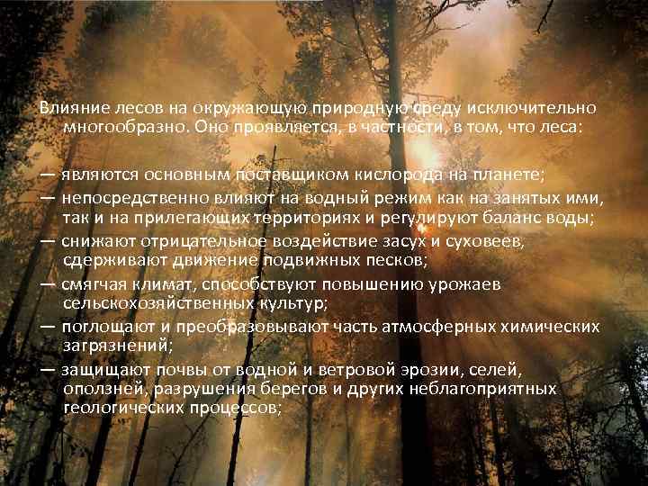 Влияние лесов на окружающую природную среду исключительно  многообразно. Оно проявляется, в частности, в