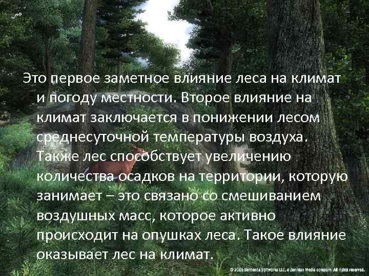 Это первое заметное влияние леса на климат  и погоду местности. Второе влияние на