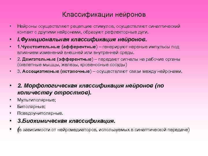      Классификации нейронов •  Нейроны осуществляют рецепцию стимулов, осуществляют
