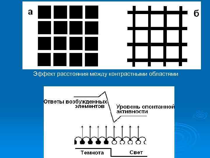 Эффект расстояния между контрастными областями 