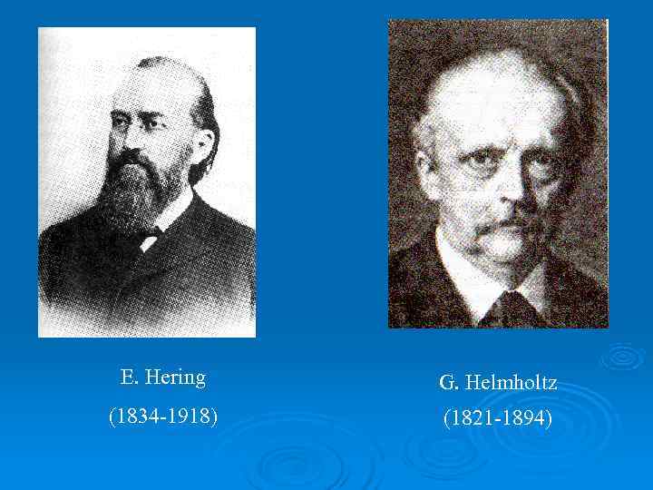  E. Hering  G. Helmholtz (1834 -1918)  (1821 -1894) 
