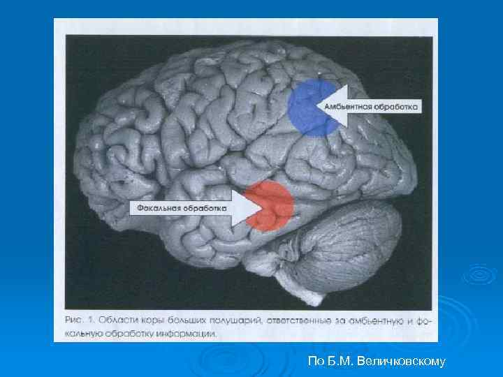 По Б. М. Величковскому 