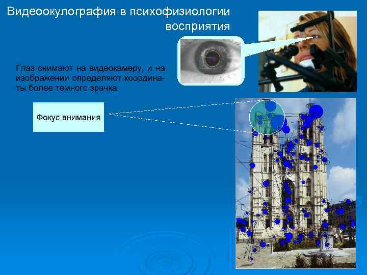 Видеоокулография в психофизиологии     восприятия 