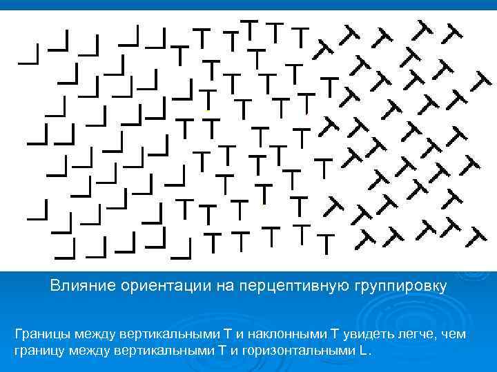   Влияние ориентации на перцептивную группировку Границы между вертикальными Т и наклонными Т