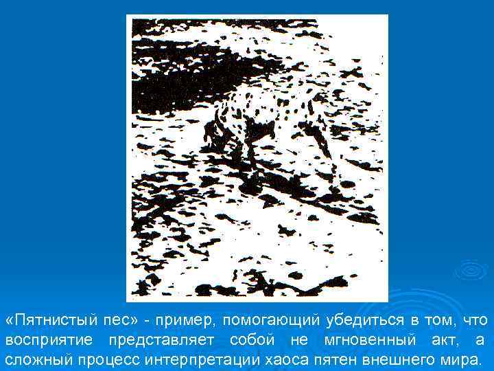  «Пятнистый пес» - пример, помогающий убедиться в том, что восприятие представляет собой не
