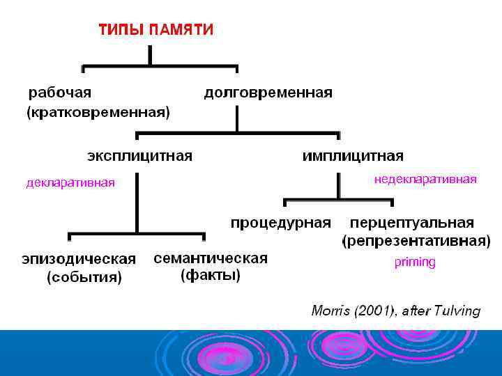 Временная память