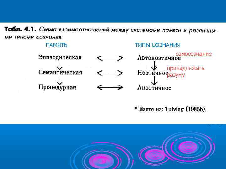 ПАМЯТЬ  ТИПЫ СОЗНАНИЯ     самосознание    принадлежать 