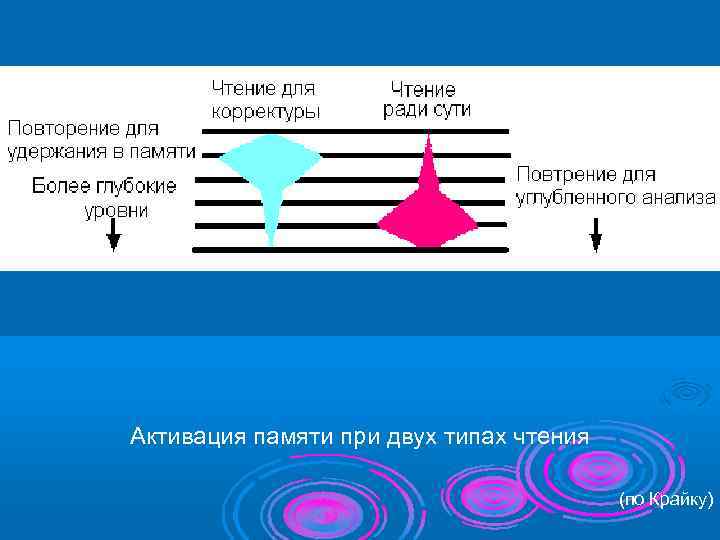 Активация памяти при двух типах чтения    (по Крайку) 