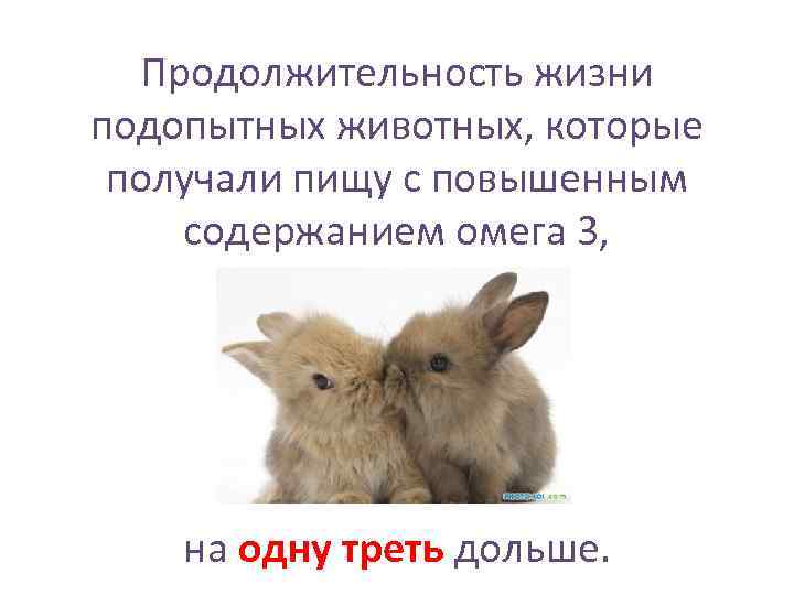  Продолжительность жизни подопытных животных, которые получали пищу с повышенным содержанием омега 3, 