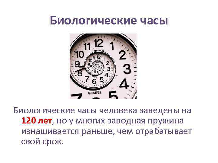 Биологически 5 часы. Биологические часы. Человеческие биологические часы. Сообщение биологические часы. Биологические часы человека сообщение.