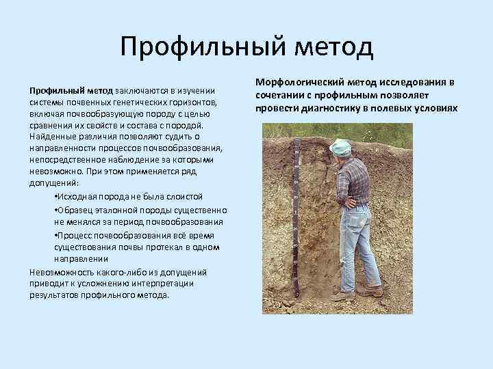     Профильный метод    Морфологический метод исследования в Профильный