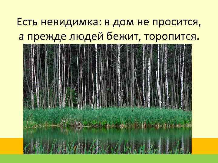 Есть невидимка: в дом не просится, а прежде людей бежит, торопится. 