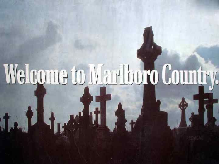 Так что же такое табак ? ? ? 