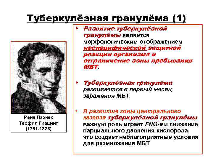 Туберкулёзная гранулёма (1) • Развитие туберкулёзной гранулёмы Туберкулёзная гранулёма (1) • Развитие туберкулёзной гранулёмы