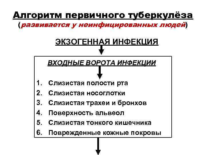 Алгоритм первичного туберкулёза (развивается у неинфицированных людей) ЭКЗОГЕННАЯ ИНФЕКЦИЯ ВХОДНЫЕ ВОРОТА ИНФЕКЦИИ Алгоритм первичного туберкулёза (развивается у неинфицированных людей) ЭКЗОГЕННАЯ ИНФЕКЦИЯ ВХОДНЫЕ ВОРОТА ИНФЕКЦИИ