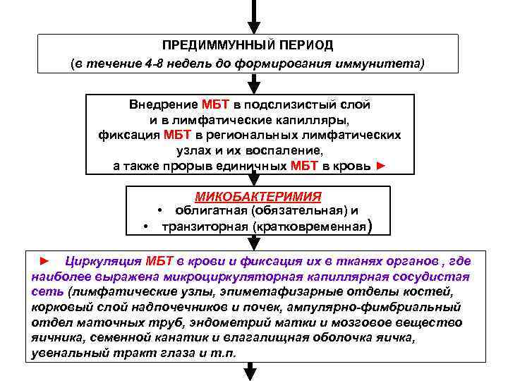 ПРЕДИММУННЫЙ ПЕРИОД (в течение 4 -8 недель до формирования иммунитета) ПРЕДИММУННЫЙ ПЕРИОД (в течение 4 -8 недель до формирования иммунитета)