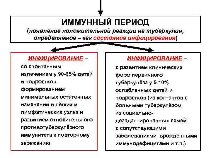 ИММУННЫЙ ПЕРИОД (появление положительной реакции на туберкулин, определяемое – как ИММУННЫЙ ПЕРИОД (появление положительной реакции на туберкулин, определяемое – как