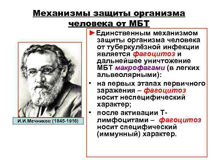 Механизмы защиты организма человека от МБТ ►Единственным Механизмы защиты организма человека от МБТ ►Единственным