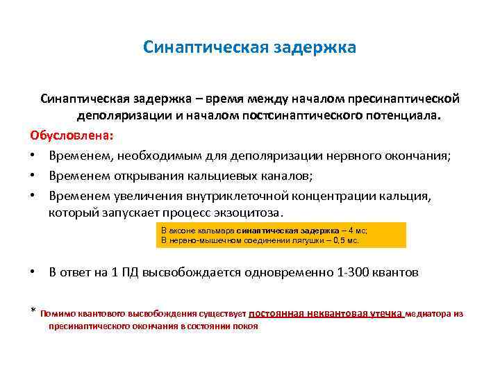 Синаптическая задержка – время между началом пресинаптической деполяризации и Синаптическая задержка – время между началом пресинаптической деполяризации и