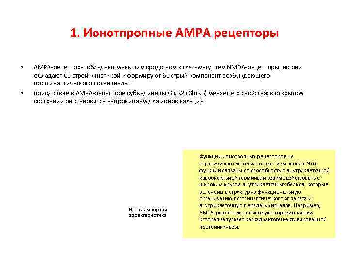 1. Ионотпропные АМРА рецепторы • AMPA-рецепторы обладают меньшим 1. Ионотпропные АМРА рецепторы • AMPA-рецепторы обладают меньшим